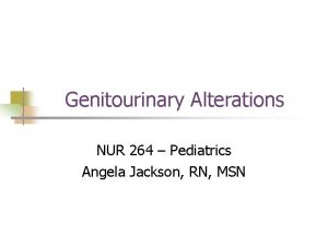 Genitourinary Alterations NUR 264 Pediatrics Angela Jackson RN