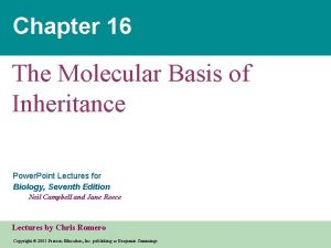 Chapter 16 The Molecular Basis of Inheritance Power