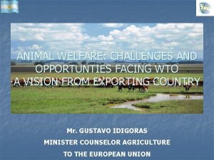 ANIMAL WELFARE CHALLENGES AND OPPORTUNTIES FACING WTO A
