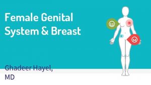 Female Genital System Breast Ghadeer Hayel MD 2