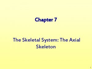 Chapter 7 The Skeletal System The Axial Skeleton