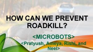 HOW CAN WE PREVENT ROADKILL MICROBOTS Pratyush Ameya