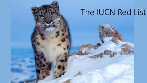 The IUCN Red List What is the IUCN