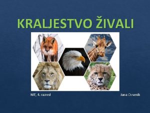 KRALJESTVO IVALI NIT 4 razred Jana Ovsenik Klikni