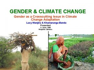 GENDER CLIMATE CHANGE Gender as a Crosscutting Issue
