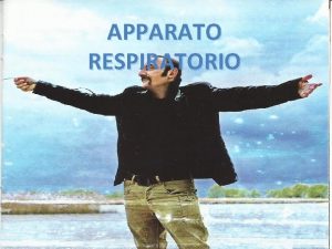 APPARATO RESPIRATORIO ARIA Aria Inspirata Azoto Ossigeno Altri