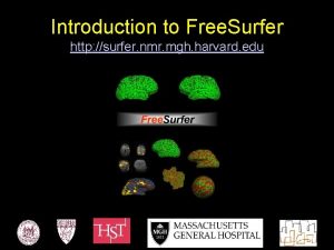 Introduction to Free Surfer http surfer nmr mgh