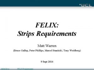 FELIX Strips Requirements Matt Warren Bruce Gallop Peter