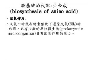 nitrogen cycle transamination reaction amino acid amino group