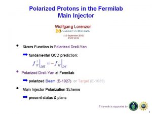 Polarized Protons in the Fermilab Main Injector Wolfgang