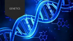 GENETICS Heredity Passing of traits from parent to