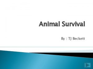 Animal Survival By TJ Beckett Animal Survival Introduction