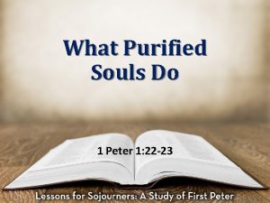 What Purified Souls Do 1 Peter 1 22