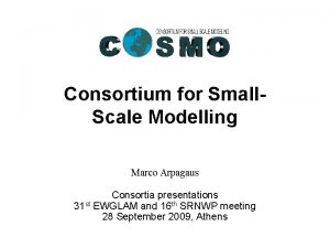 Consortium for Small Scale Modelling Marco Arpagaus Consortia