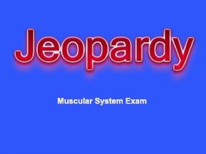Muscular System Exam Overview Anatomy Physiology Muscles Mink