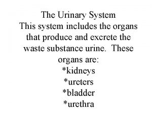 The Urinary System This system includes the organs