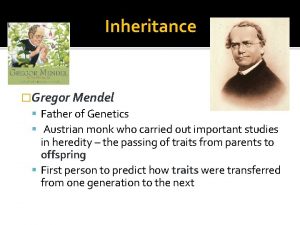 Inheritance Gregor Mendel Father of Genetics Austrian monk