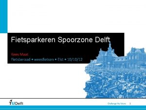 Fietsparkeren Spoorzone Delft Kees Maat Fietsberaad weesfietsen Elst