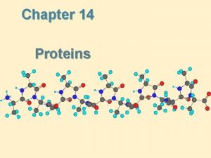 Chapter 14 Proteins Proteins Proteins serve many functions