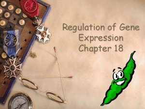 Regulation of Gene Expression Chapter 18 Gene expression