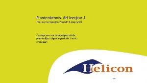 Plantenkennis AH leerjaar 1 Een en tweejarigen Periode