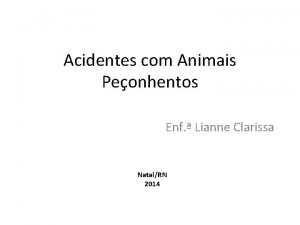 Acidentes com Animais Peonhentos Enf Lianne Clarissa NatalRN