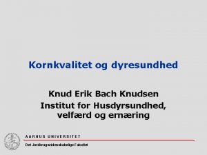 Kornkvalitet og dyresundhed Knud Erik Bach Knudsen Institut