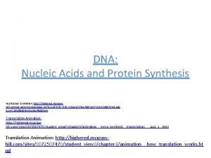 DNA Nucleic Acids and Protein Synthesis Replication Animation