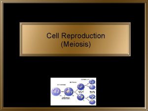 Cell Reproduction Meiosis How Do Cells Reproduce Most