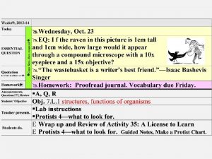 PROTISTS 4 EUGLENA AMOEBA PARAMECIUM VOLVOX What is