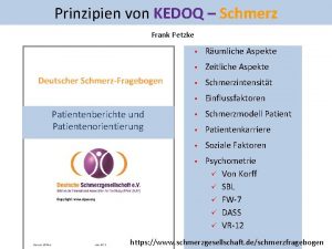 Prinzipien von KEDOQ Schmerz Frank Petzke Patientenberichte und