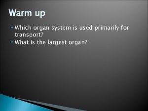 Warm up Which organ system is used primarily