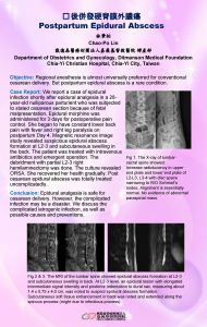 Postpartum Epidural Abscess ChaoPo Lin Department of Obstetrics