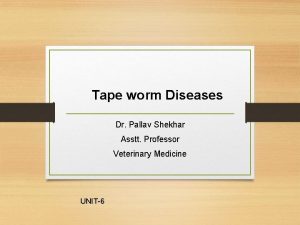 Tape worm Diseases Dr Pallav Shekhar Asstt Professor