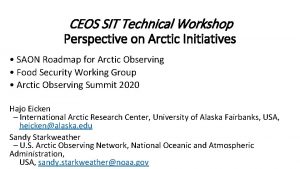 CEOS SIT Technical Workshop Perspective on Arctic Initiatives
