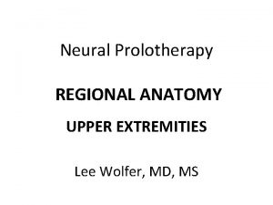 Neural Prolotherapy REGIONAL ANATOMY UPPER EXTREMITIES Lee Wolfer