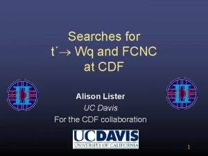 Searches for t Wq and FCNC at CDF