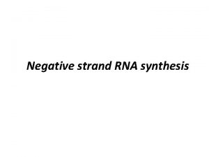 Negative strand RNA synthesis Sense RNA genomes Unimolar