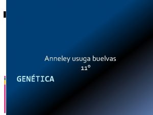 Anneley usuga buelvas 11 GENTICA Leyes de Mendel