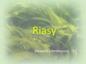 Riasy Alexandra Ambrozov 3 E Obsah Zaradenie rias