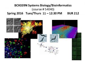 BCH 339 N Systems BiologyBioinformatics course 54040 Spring