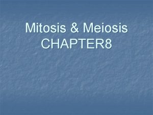 Mitosis Meiosis CHAPTER 8 CHROMOSOMES n n Chromosome