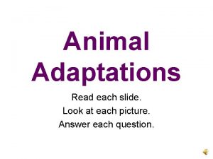 Animal Adaptations Read each slide Look at each