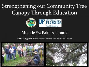 Strengthening our Community Tree Canopy Through Education Module