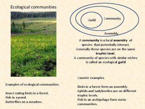 Ecological communities Guild Community Assembly A community is