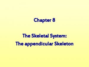 Chapter 8 The Skeletal System The appendicular Skeleton