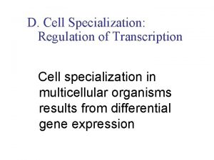 D Cell Specialization Regulation of Transcription Cell specialization