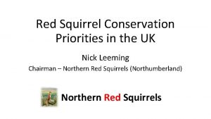 Red Squirrel Conservation Priorities in the UK Nick
