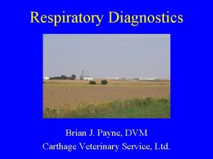 Respiratory Diagnostics Brian J Payne DVM Carthage Veterinary