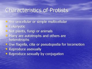 Characteristics of Protists Are unicellular or simple multicellular